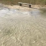 فيلة Mazury, Ametyst, Cisza , Ptasi Spiew , Grzyby , Ryby شتشتنو