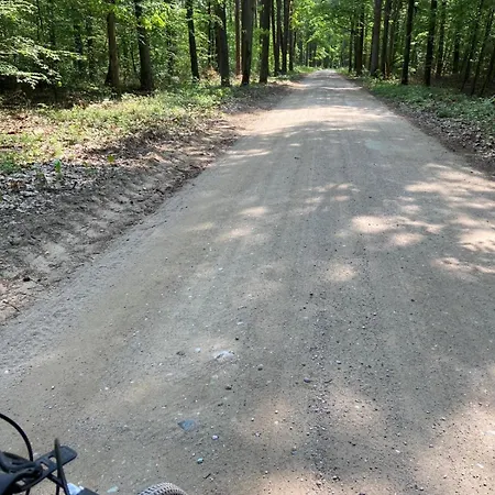Mazury, Ametyst, Cisza , Ptasi Spiew Odpoczynek Szczytno (Warmian-Masurian)