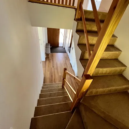 Mazury, Ametyst, Cisza , Ptasi Spiew , Grzyby , Ryby * 什奇特诺