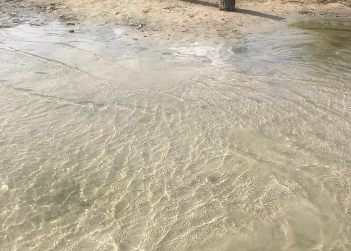 Willa Mazury, Ametyst, Cisza , Ptasi śpiew Grzyby , Ryby Szczytno (Warmian-Masurian)