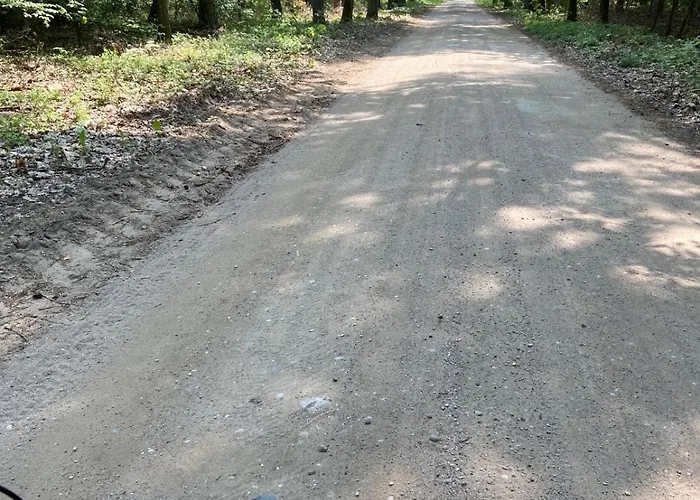 Mazury, Ametyst, Cisza , Ptasi śpiew Grzyby , Ryby Szczytno (Warmian-Masurian)