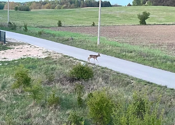 Willa Mazury, Ametyst, Cisza , Ptasi śpiew Grzyby , Ryby