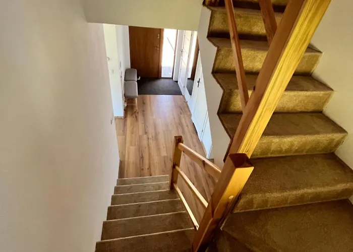 Mazury, Ametyst, Cisza , Ptasi śpiew Grzyby , Ryby * Szczytno (Warmian-Masurian)