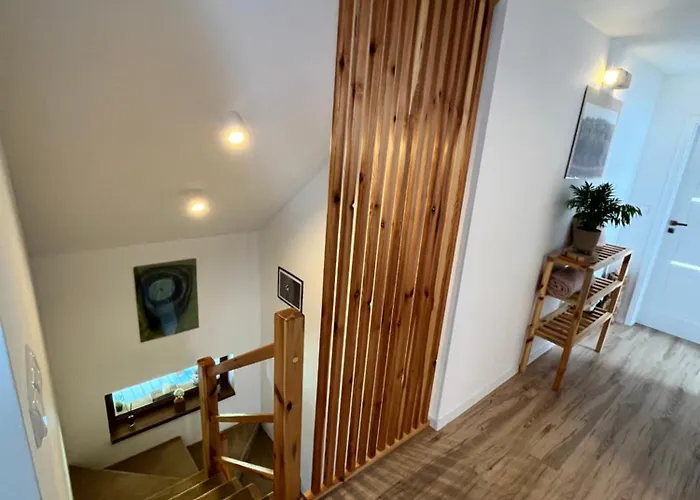 Mazury, Ametyst, Cisza , Ptasi śpiew Grzyby , Ryby