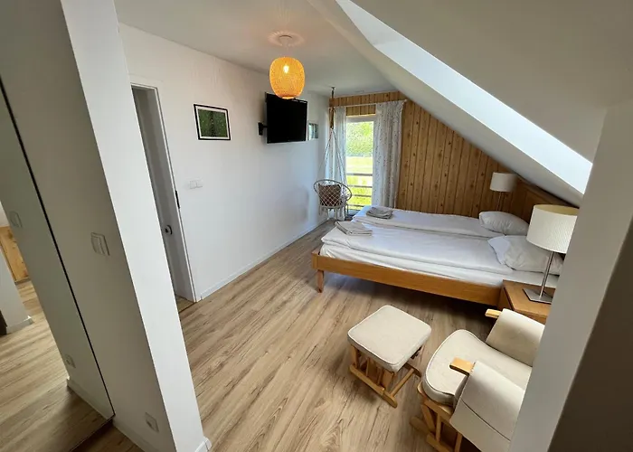 Mazury, Ametyst, Cisza , Ptasi śpiew Grzyby , Ryby Szczytno (Warmian-Masurian)